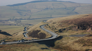 Cat and Fiddle A537