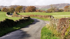 country lanes driving